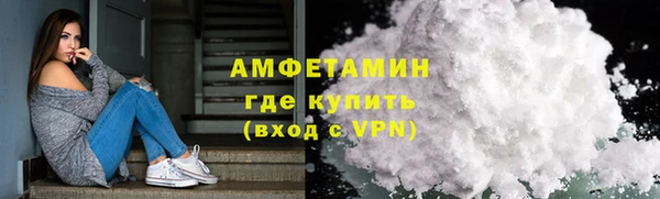 гидра Новозыбков