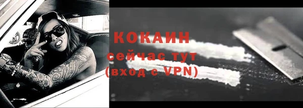 гидра Новозыбков